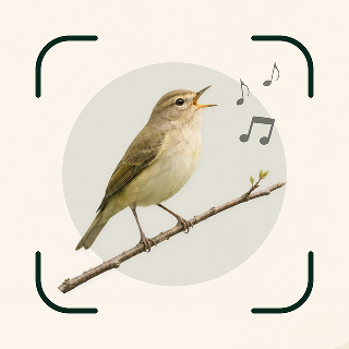 Birdlens